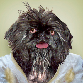 Rexford