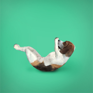 Naked reg sit ups