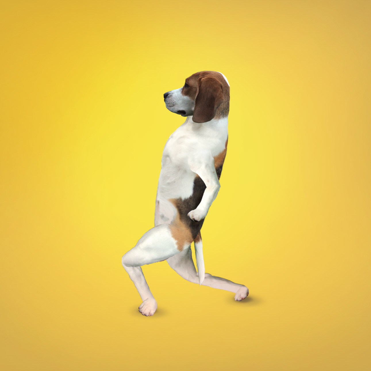 Naked reg lunges