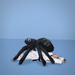  0081 15 spiders 150x150