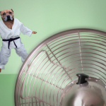  0078 18 judo fan 150x150