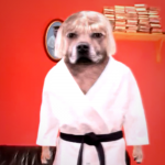  0057 39 tickle my dog judo 150x150