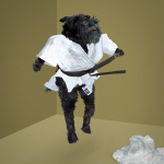  0085 11 proper judo 150x150