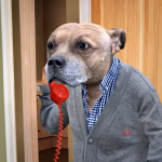  0054 42 detective rexington 150x150