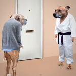  0053 43 judo texting 150x150