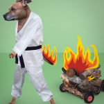  0091 5 fire 150x150